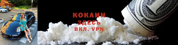 хмурый Арсеньев