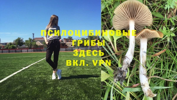 мескалин Армянск