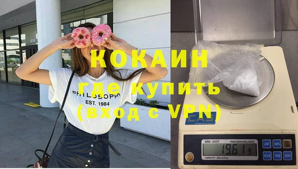 хмурый Арсеньев