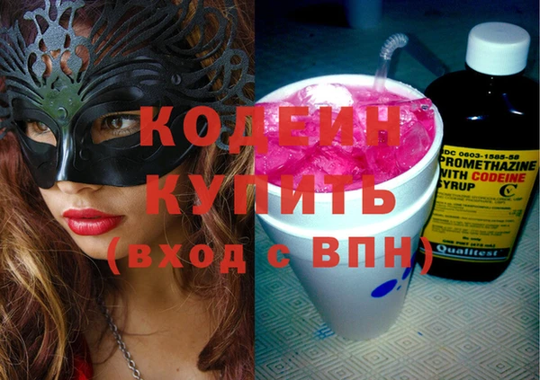 хмурый Арсеньев