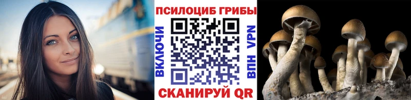 маркетплейс какой сайт  Усть-Кут  Галлюциногенные грибы мицелий  магазин продажи  